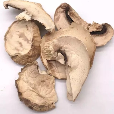 10x10mm은 일본 마른 표고 버섯 머시룸 재배 가방 크기를 갈변시킵니다