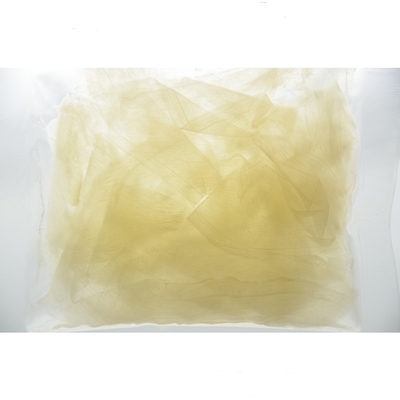 HACCP 테이크아웃식음식은 달콤한 식초에서 10g 소금에 절인 회초밥 생강을 잘라냈습니다